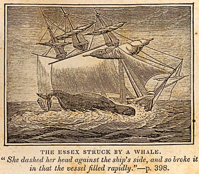 Moby Dick Whaleship ‘Essex’ was a False Flag Operation